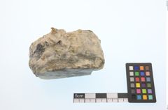 Foto von Gold (NHMW-MIN-Aa2501)